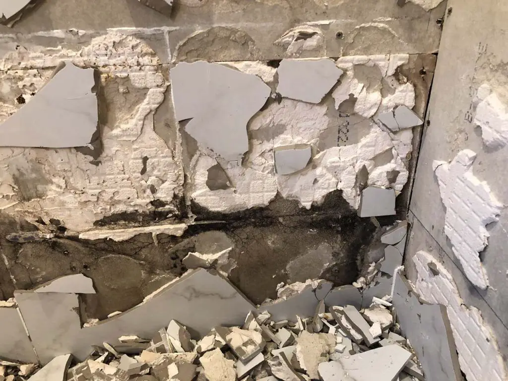 Once we took out the old tile, we could see that there was mold growing on the backer board as well as clear evidence that the corners and joints were not sealed with a vapor-resistant barrier