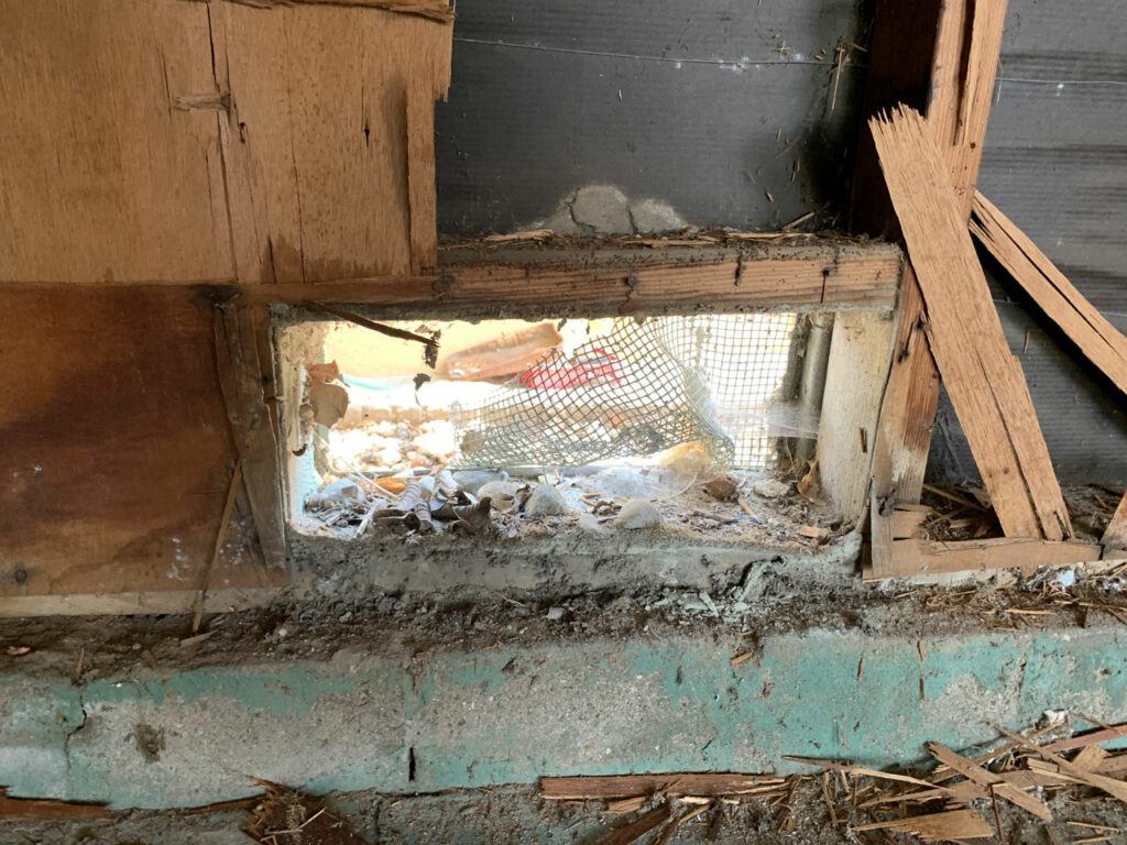 This broken metal mesh in the garage was one thing that our pest control company addressed after bringing it to their attention well after the rat control measures were initially taken.