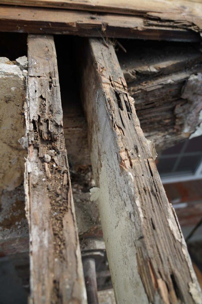 Closer look at the extent of the subterranean termite damage over the years that was done to the front of the house thanks to poor roofing resulting in leaks and wood rot