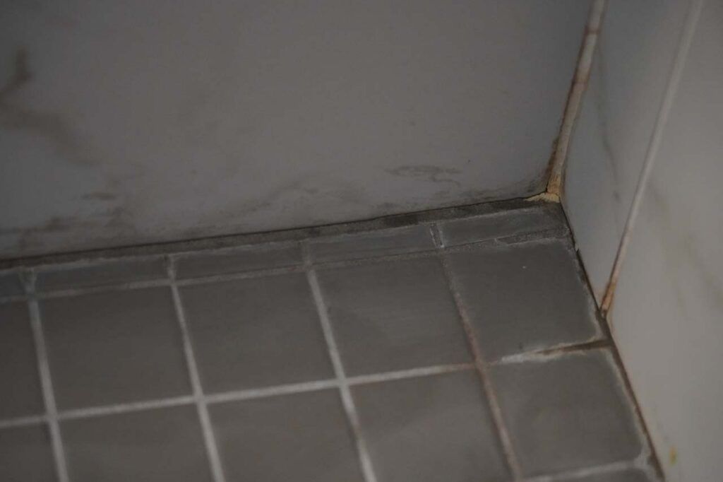 Closeup look at cracks in the grout, which probably exacerbated water intrusion to the backer board and shower pan behind the tiles