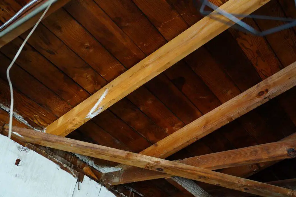 Looking up at a rafter that had been cut and then caulked by a prior termite company, but all that did was undermine the structural integrity of that rafter being able to hold up that side of the roof