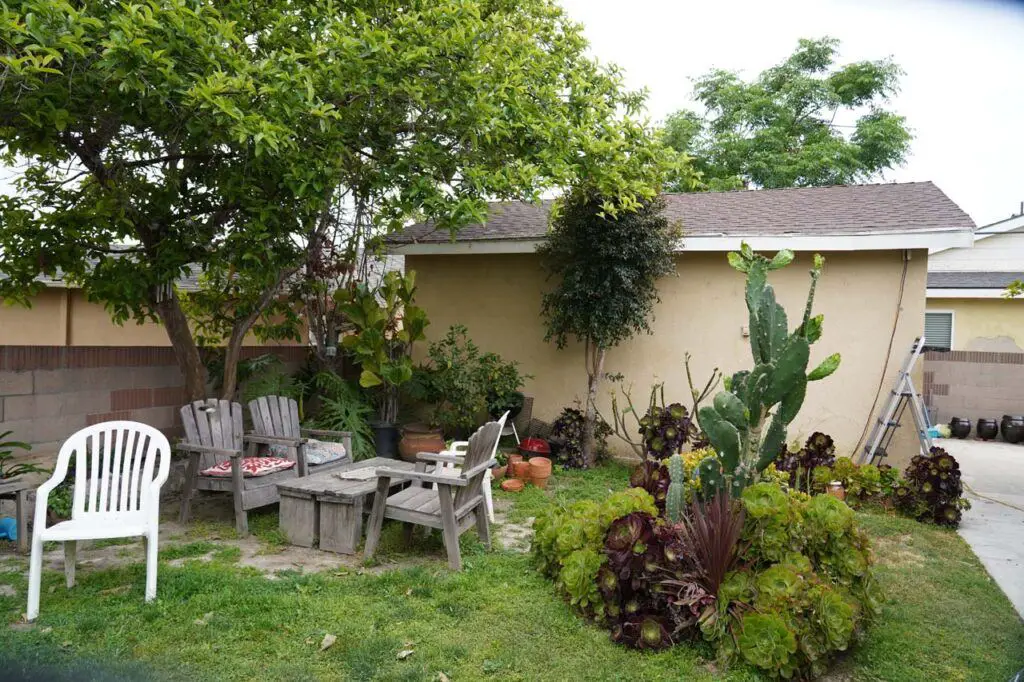 By planting as many things (including trees) that the tenants at the time did, they technically broke the lease by altering the property (let alone creating a haven for rats)