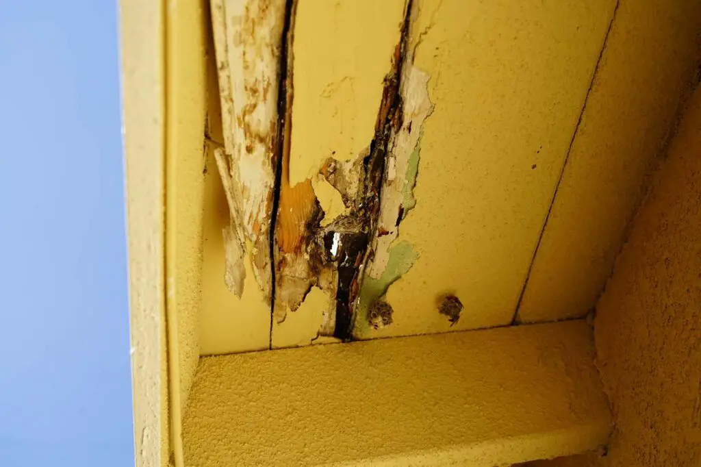 Looking up at damage caused by a hole resulting from poor roofing and years of neglect