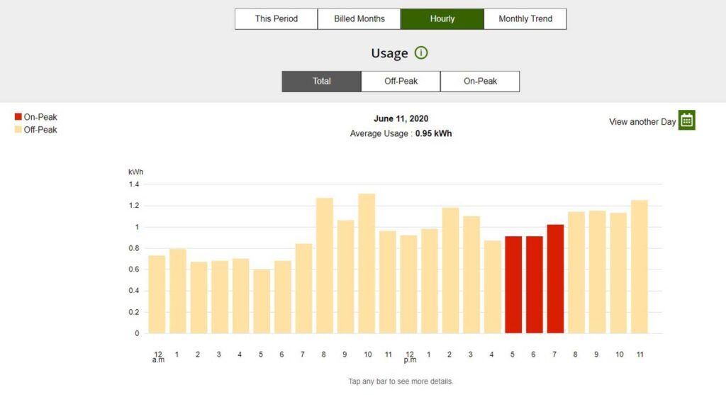 This was our usage history by the hour one year ago in June 2020, where we can clearly see the full extent of how much we were being billed for without any benefit of having home solar panels