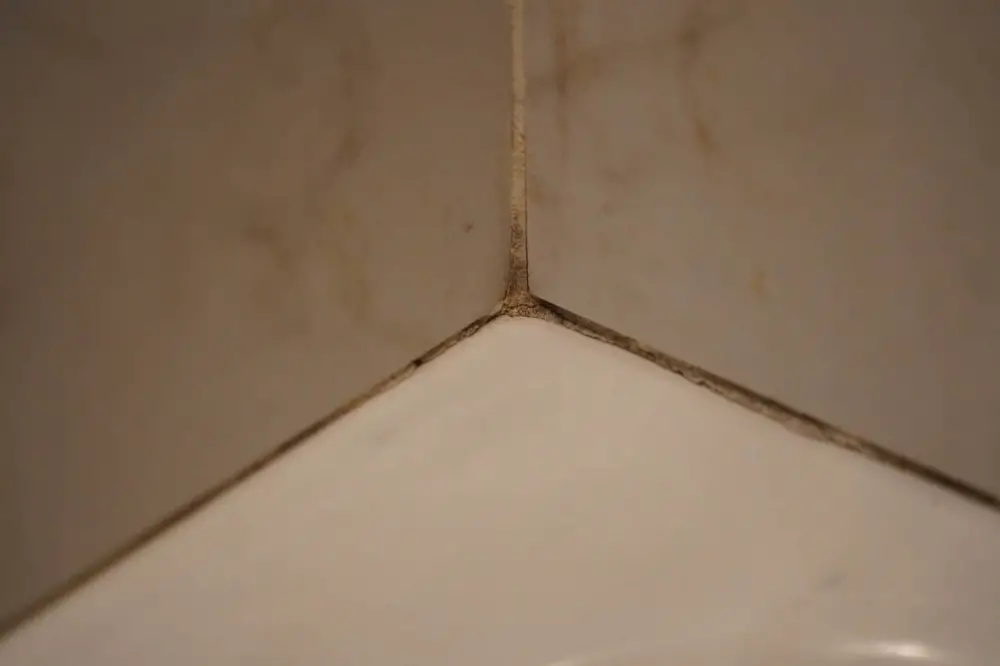 Cracked grout is certainly a precursor to mold growth behind the tiles and grout