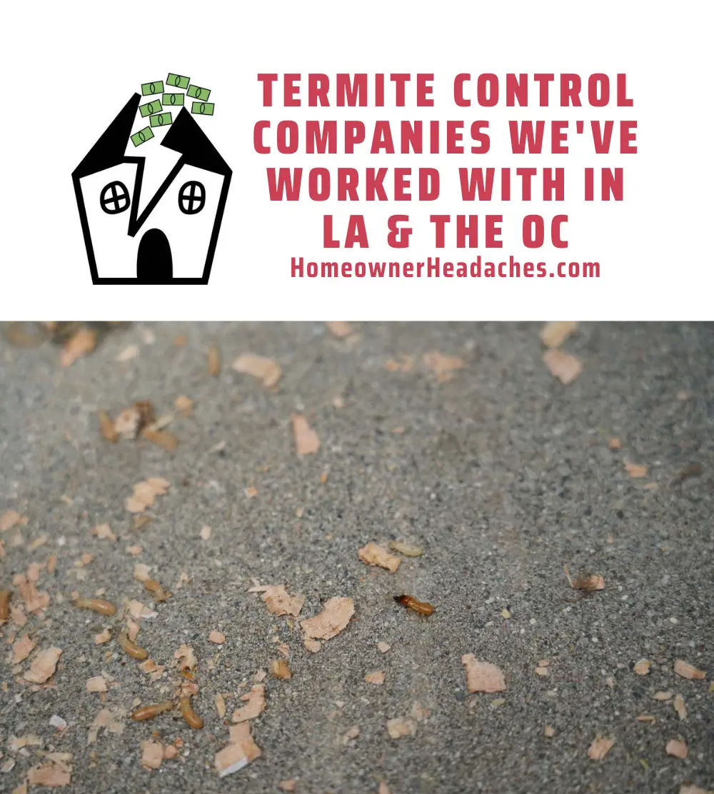 The Best Termite Control Companies For Los Angeles and Orange County
