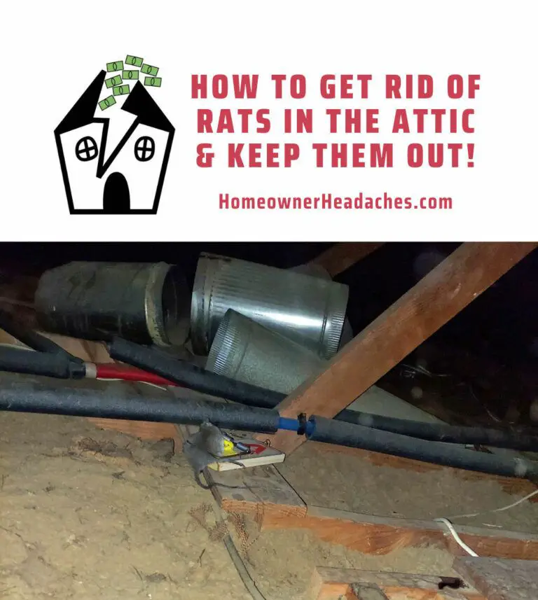 How To Get Rid Of Rats In The Attic & Keep Them Out!