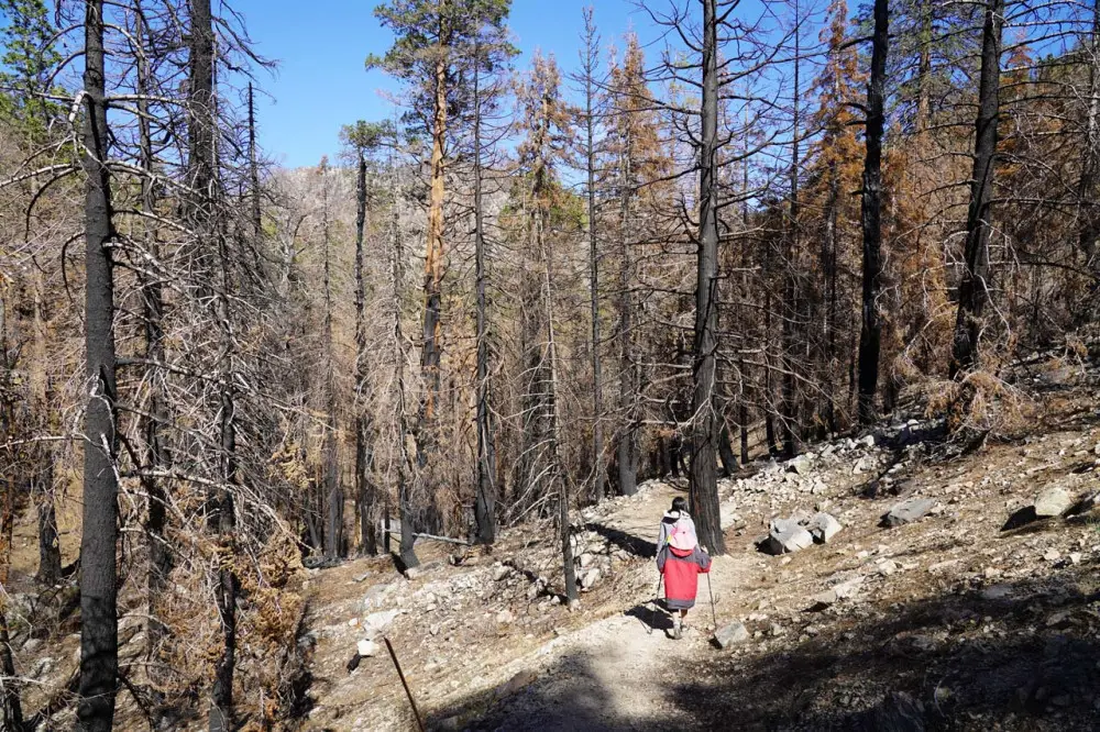 The Bobcat Fire in late 2020 is indicative of the impacts of Climate Change. Such events limit the supply of lumber, which further drive up material costs
