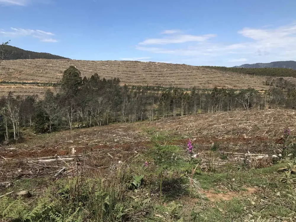 There is a direct link between the housing industry and deforestation (i.e. Climate Change, habitat loss, mass extinctions, disease propagation, etc.)